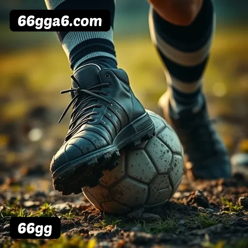 Requisitos do APK da 66gg para Android